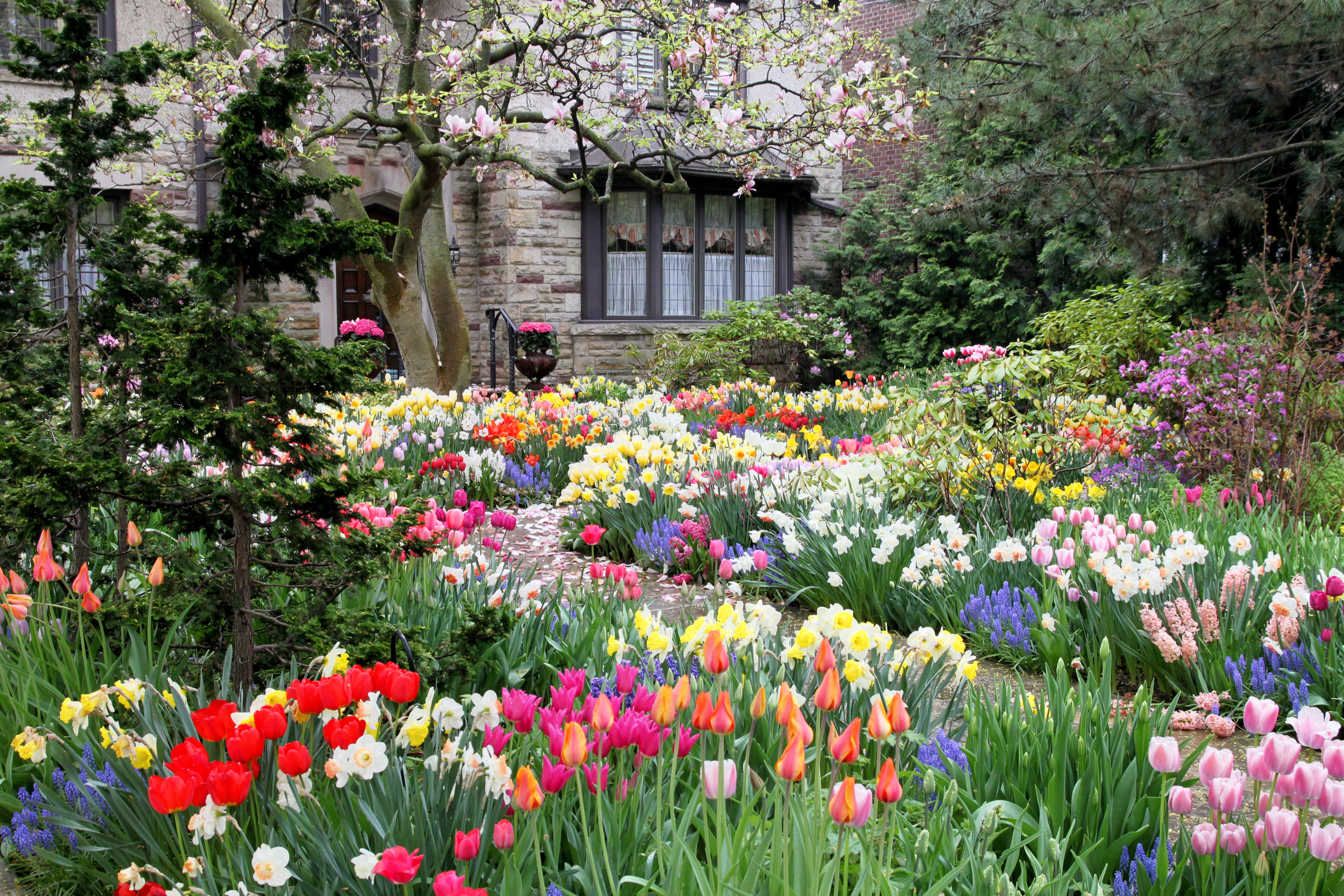 Bright spring garden - Over50s.com