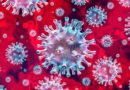 How to avoid the Conronavirus